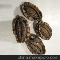 【青島直銷 海鮮 鮑魚 海鮮批發(fā) 鮑魚批發(fā)【圖】】價(jià)格,廠家,圖片,鮮活/冷凍水產(chǎn),青島旺福魚鄉(xiāng)水產(chǎn)品-