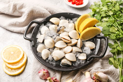 水產(chǎn)腌生鮮白貝海鮮美食攝影圖 st攝影