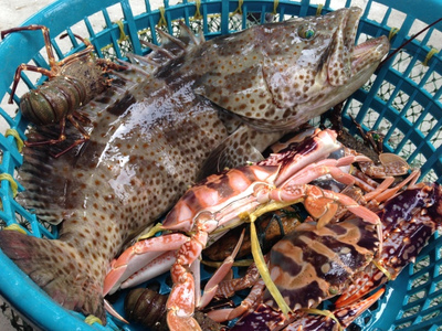 探海鮮萬山 | 海鮮美食節(jié)探鮮團(tuán)招募，免費(fèi)吃喝玩樂等你來！